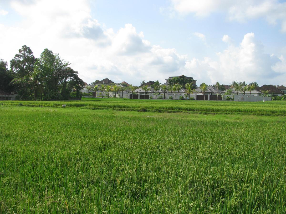 Pondok Mesari House أوبود المظهر الخارجي الصورة