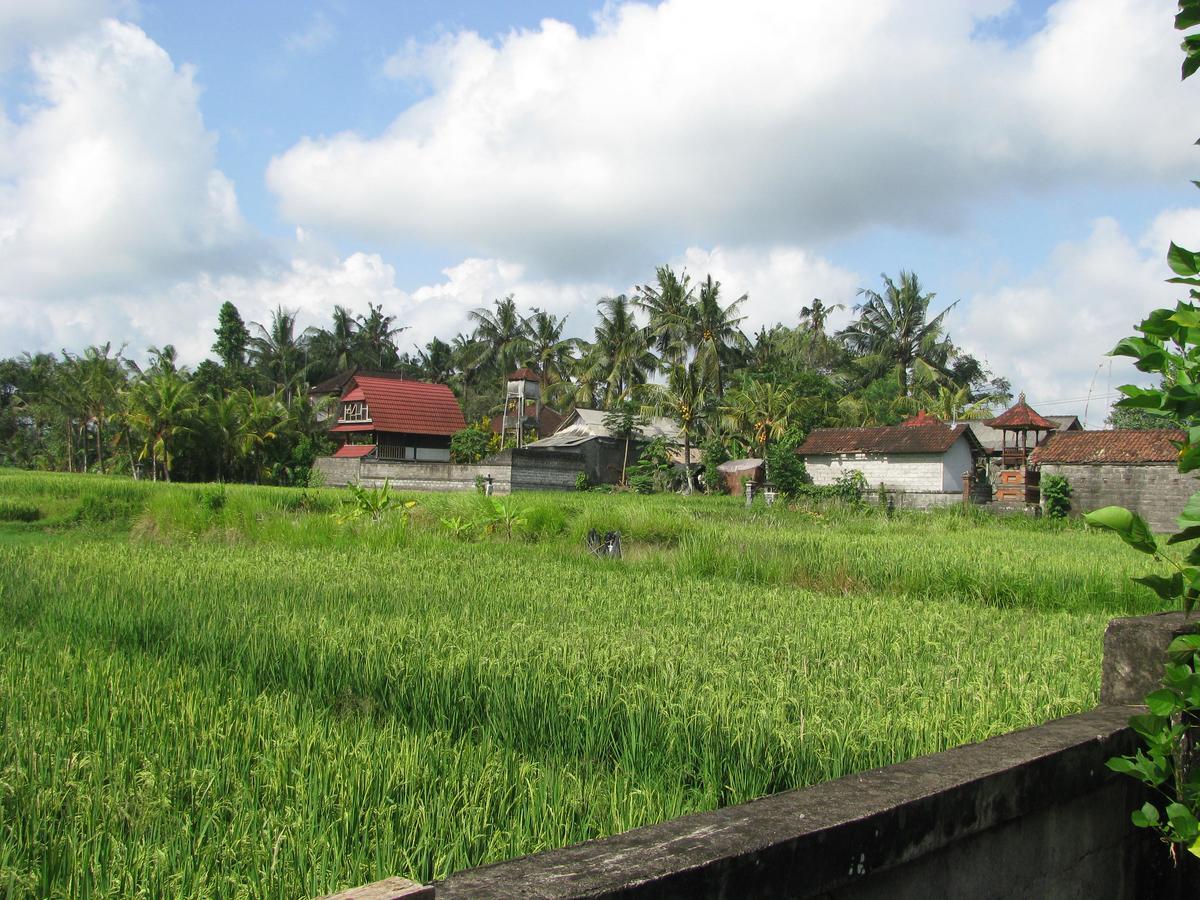 Pondok Mesari House أوبود المظهر الخارجي الصورة